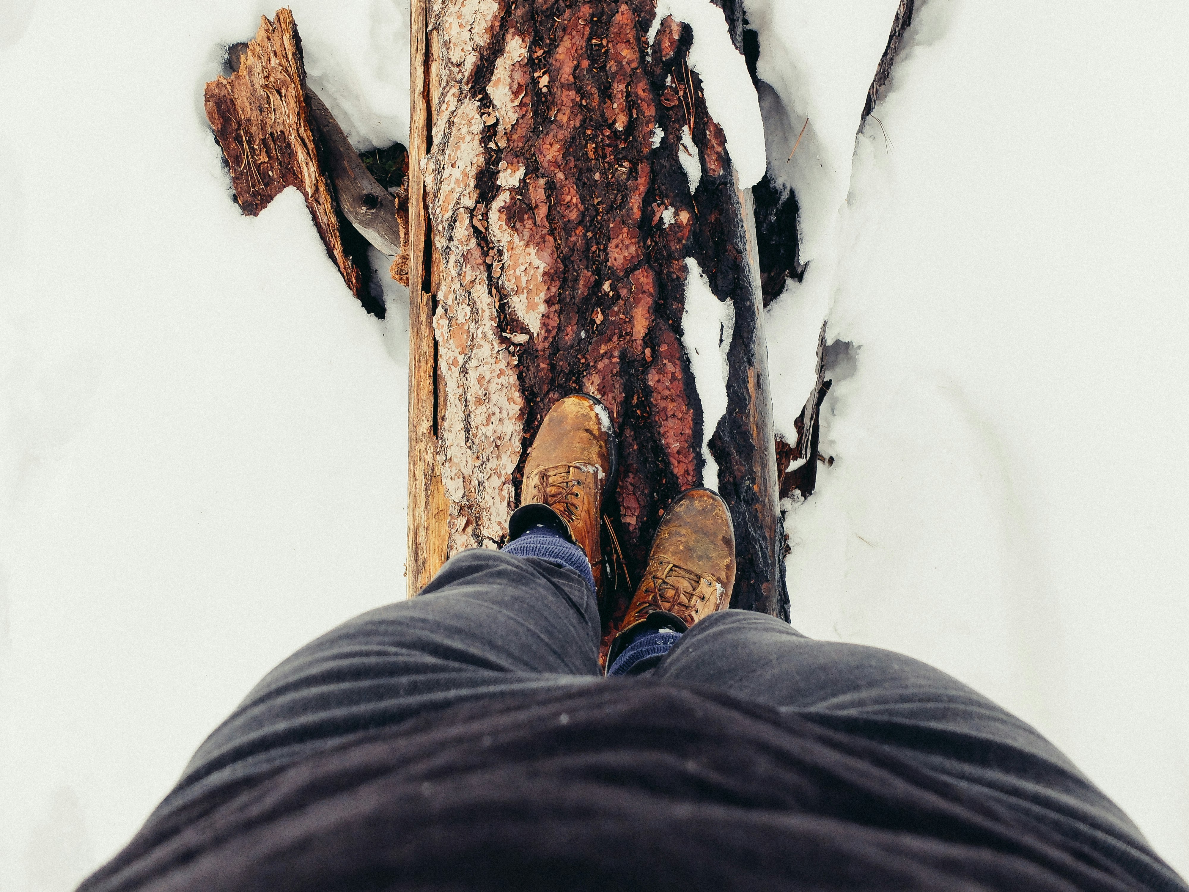 person standing on wood log